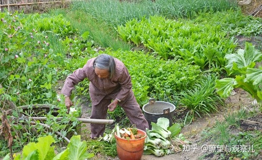 魔域网名